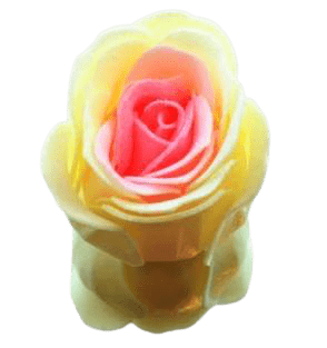 Rose de bain printemps