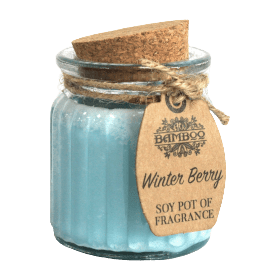 Bougie soja fruits d'hiver