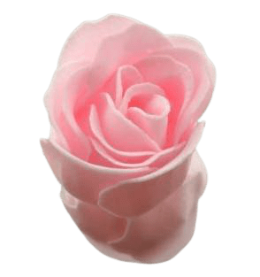 Rose de bain tendresse