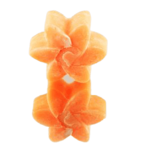 Cire de soja 100% naturelle Magnolia, élégance florale raffinée artisanale