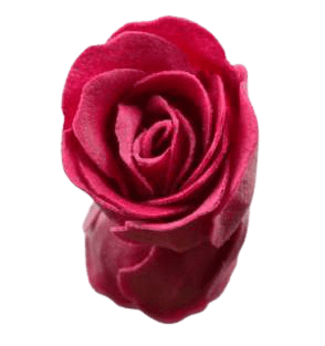Rose de bain fushia