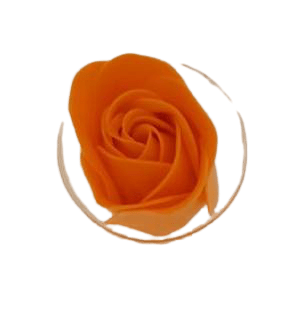 Rose de bain parfumée corail, pétales effervescents chaleureux détente et relaxation