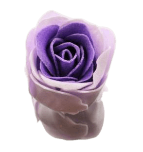 Rose de Bain Printanière - Pétales Parfumés Fleuris