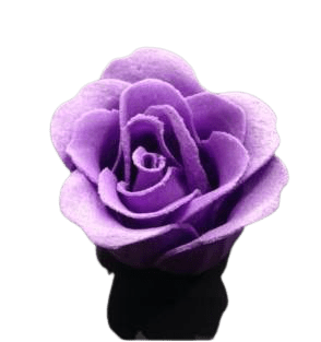 Rose de bain parfumée violette, pétales effervescents élégants détente et relaxation