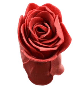 Rose de bain rouge