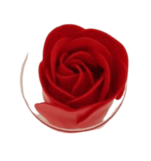 Rose de bain rubis