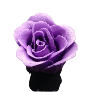 Rose de bain violette